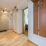 Avis - City 33 Apartmán